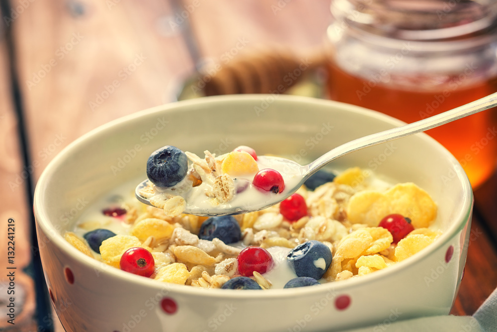 Healthy Breakfast Muesli with berries,honey and milk Healthy Breakfast Muesli with berries,honey and milk