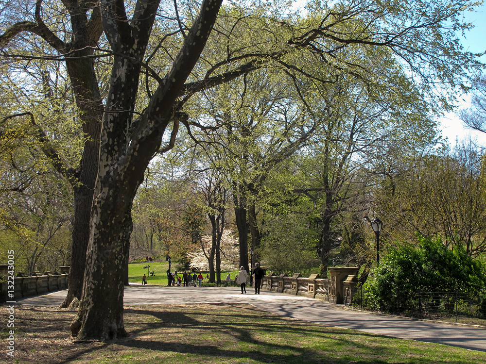Central Park in New York Central Park in New York
