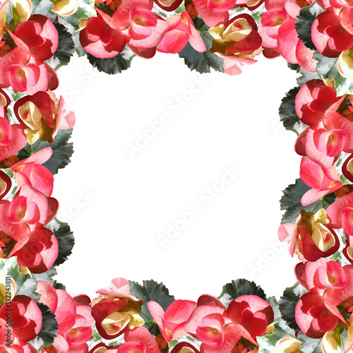 Wallpaper Mural Beautiful floral background with pink begonias  Torontodigital.ca