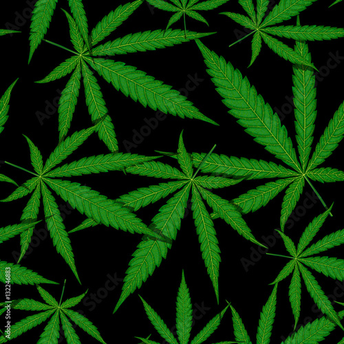 Seamless pattern of cannabis leaf on black background