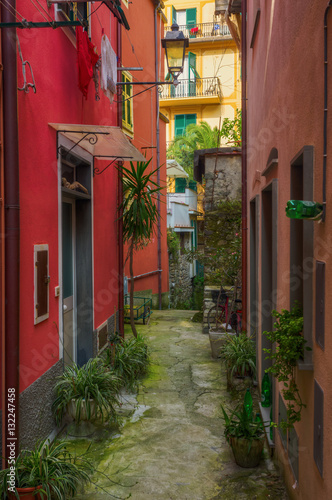 picturesque alley in Monterosso, Italy