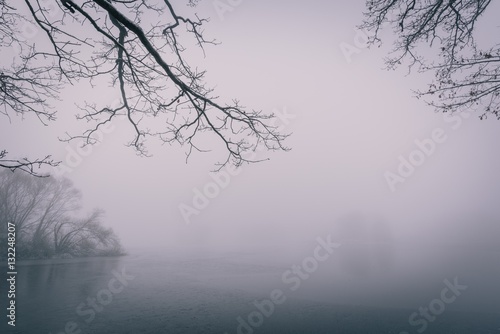 Frozen pond with few trees in cold foggy winter morning © yommy
