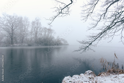 Frozen pond with few trees in foggy winter morning