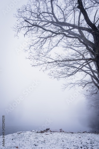 Heavy fog over the winter frozen pond © yommy