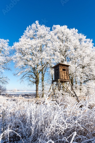 Wooden hunting shelter in front of trees covered by frost © yommy