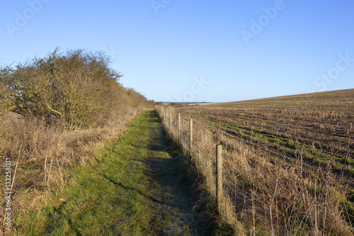 bridleway and hedgerow
