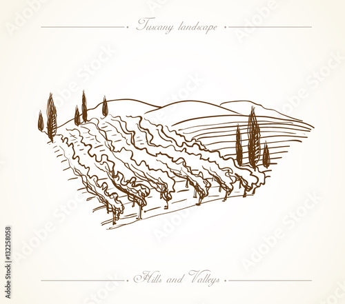 Tuscany Landscape hand drawn illustration