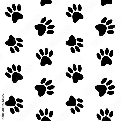 black footprints paw on a white background step trace pattern se