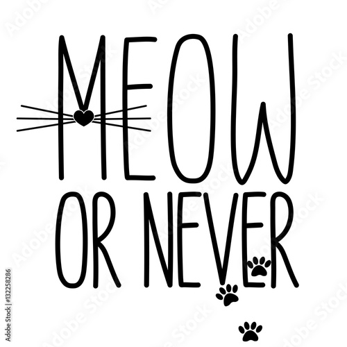 Photo Meow or never black inscription cat illustration whiskers white