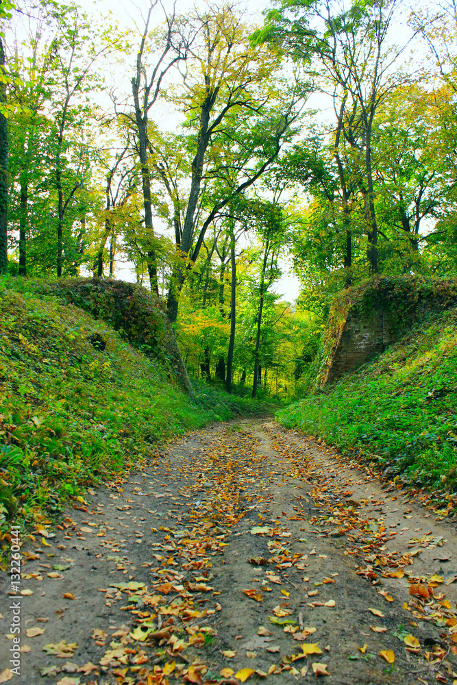 Fototapeta premium road in the beautiful park with ruined arch bridge