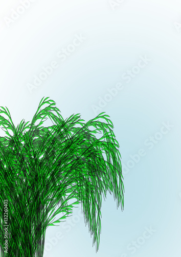 herbes sauvages,sur fond bleu