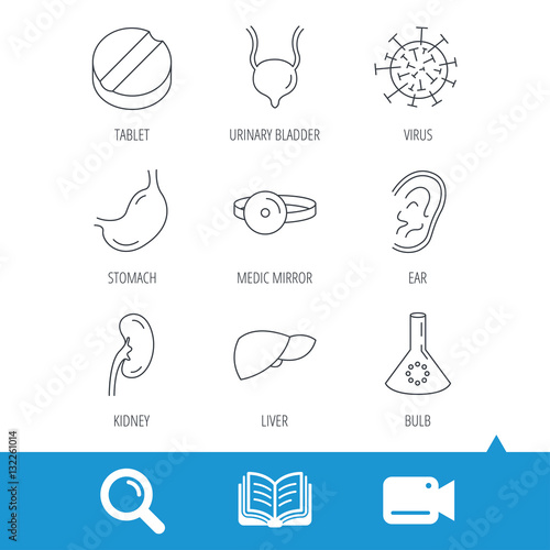 Virus, tablet and stomach organ icons. Liver, kidney and urinary bladder linear signs. Medic mirror, ear and lab bulb flat line icons. Video cam, book and magnifier search icons. Vector
