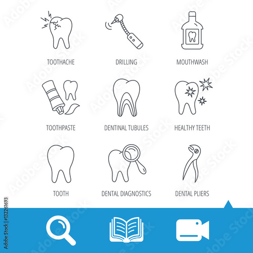 Tooth, stomatology and toothache icons. Mouthwash, dental pliers and diagnostics linear signs. Dentinal tubules, drilling icons. Video cam, book and magnifier search icons. Vector