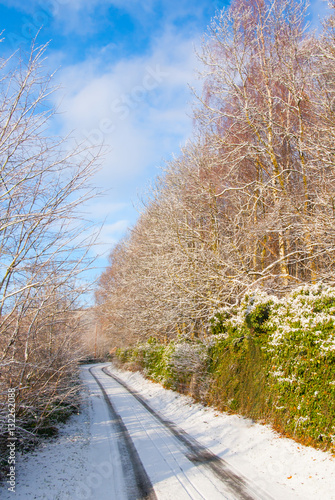 country winter road photo
