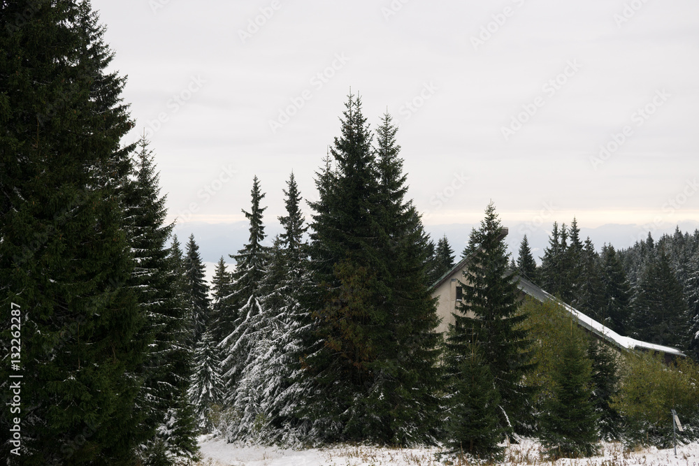 Nature covered in snow during winter. Slovakia