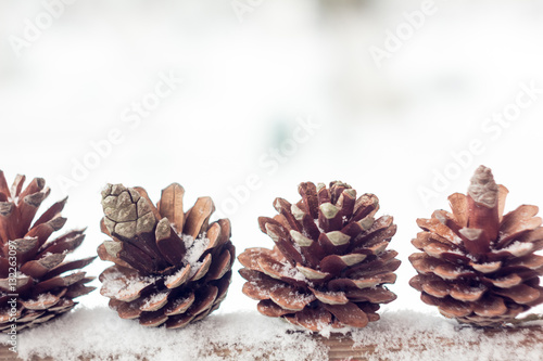 Cones covered with snow outdoor