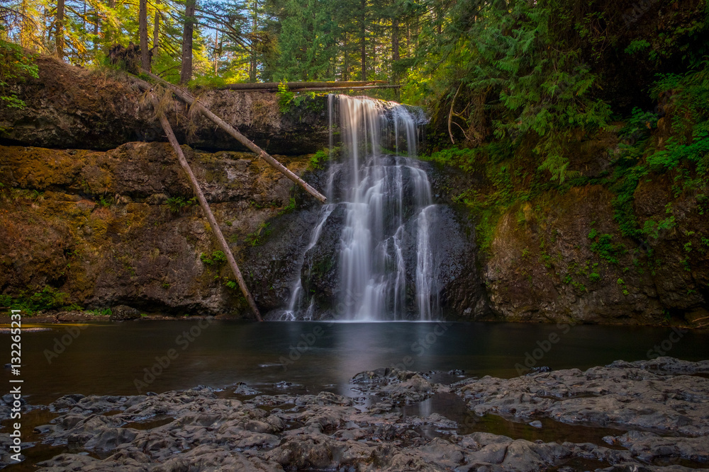 Obraz premium Oregon Waterfall in Silver Falls State Park