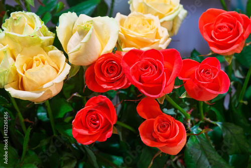 Beautiful roses for sale at a florist's shop.