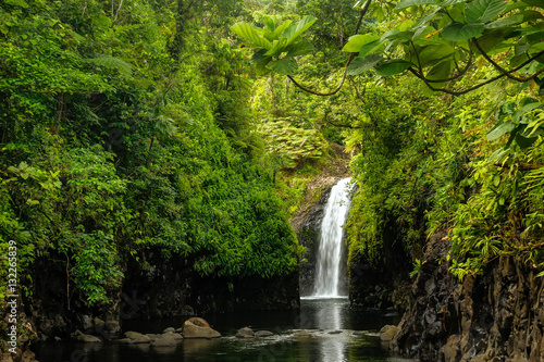 Fototapeta Naklejka Na Ścianę i Meble -  Wainibau Waterfall at the end of Lavena Coastal Walk on Taveuni