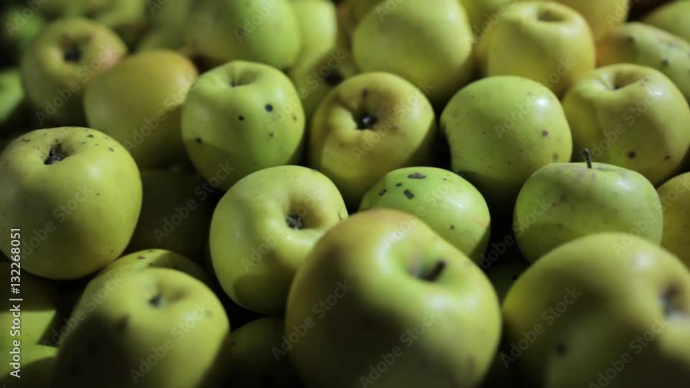 Camera sliding over many apples deposited after harvest Camera sliding over many apples deposited after harvest