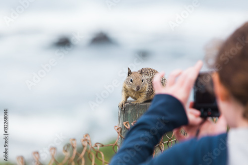 Tourist taking a photo of curious squirrel - Stock image