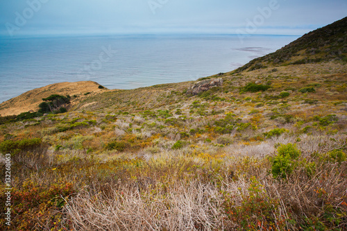 Field and ocean on highway one - Stock Photo