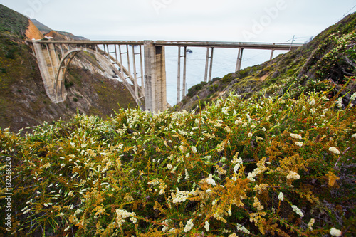 Flowers in front of the arch bridge in big sur - Stock Image