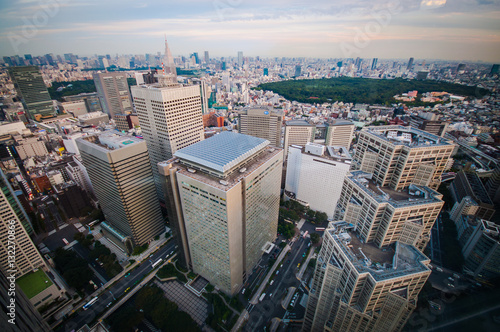 Vista su Tokyo © serena