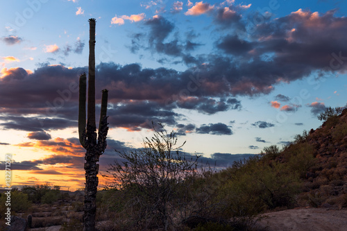 desert sunset and saguaro cactus silhouette