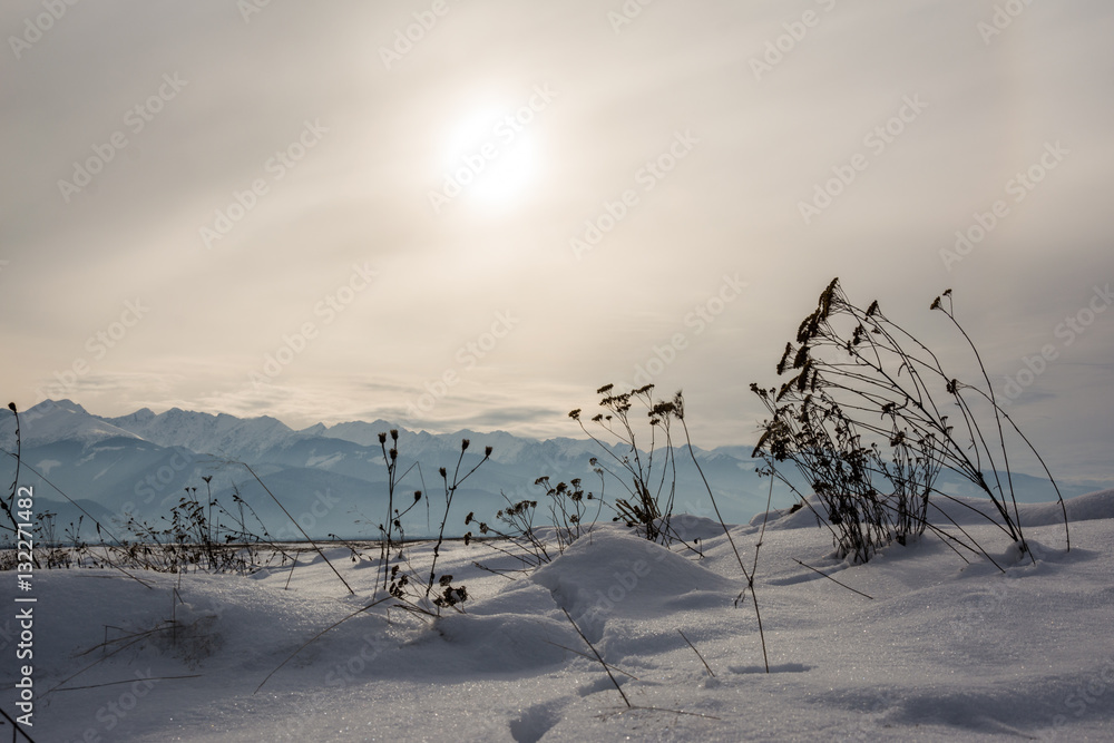 winter landscape snow-covered fields and roads in sunlight rays on the sunset winter landscape snow-covered fields and roads in sunlight rays on the sunset