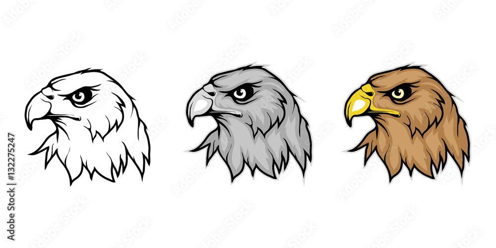 Fototapeta premium Eagle, isolated on white background, colour and black white illustration, suitable as logo or team mascot
