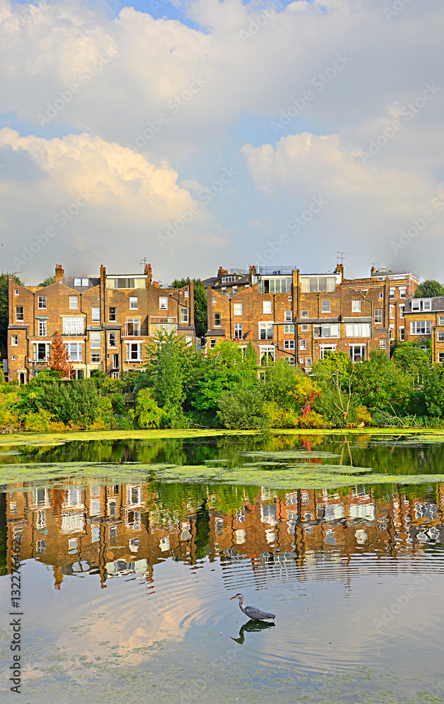 Fototapeta premium Hampstead Heath pond with Great Blue Heron and reflected old apartment buildings.
