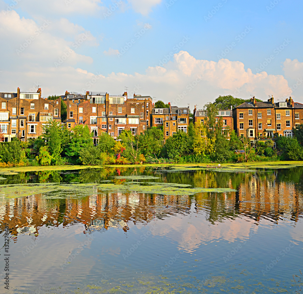 Fototapeta premium Hampstead Heath pond with Great Blue Heron.