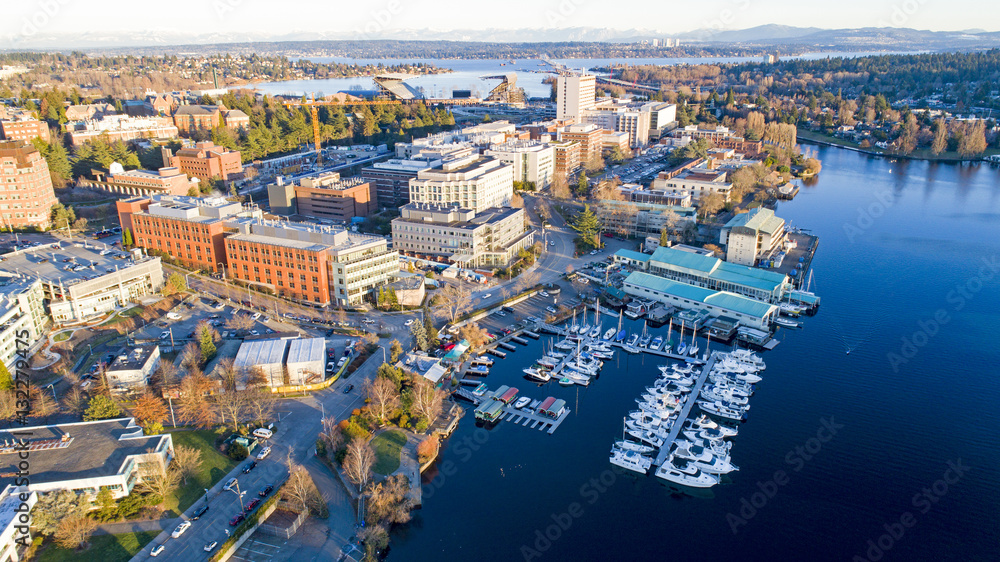 Aerial View of University of Washington Neighborhood School Campus - Bellevue Skyline in Background