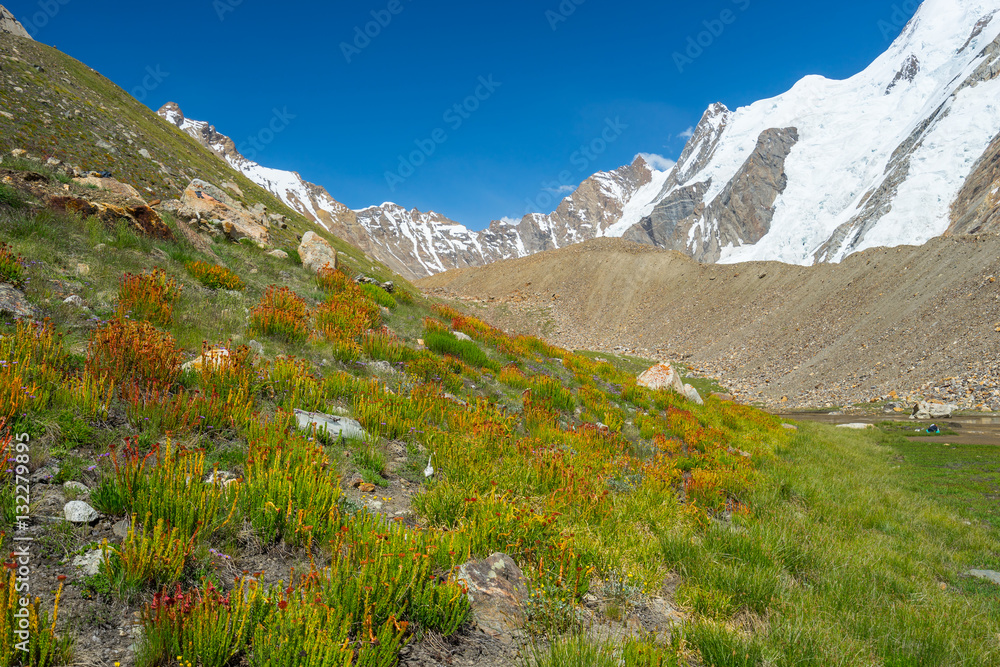 Fototapeta premium Beautiful landscape of Khuspang camp in summer with wild flower