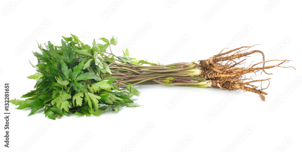 Fototapeta premium Fresh Ginseng Root on white background.