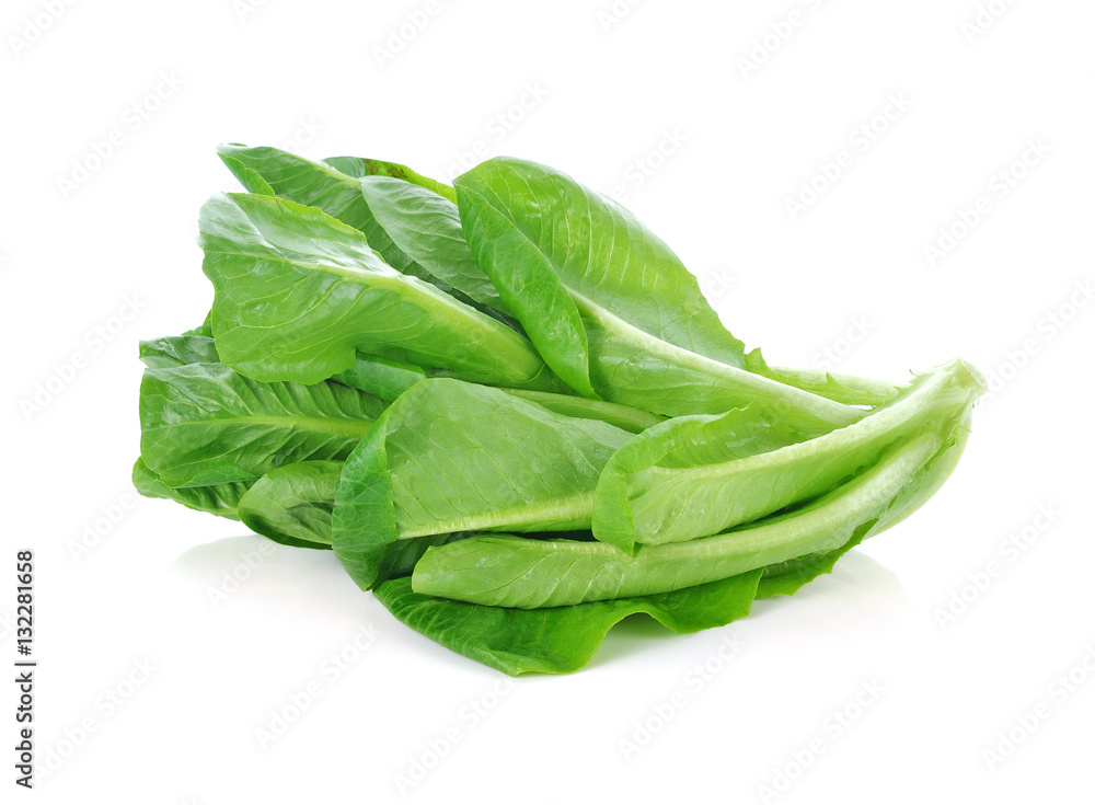 fresh cos (lettuce) on white background fresh cos (lettuce) on white background
