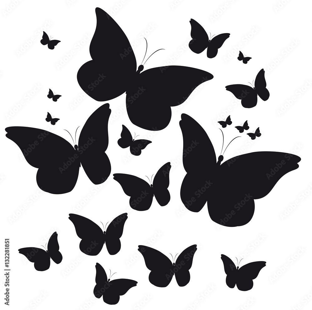 beautiful butterflies, isolated on a white beautiful butterflies, isolated on a white
