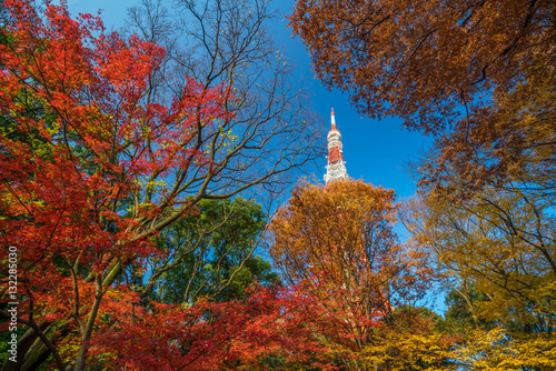 Photography Tokyo Tower with blue sky in Japan