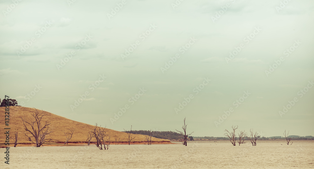 Barren trees growing out of water. Hume Lake, Victoria, Australia
