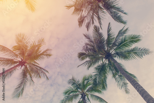 Coconut palm trees in tropical beach Thailand