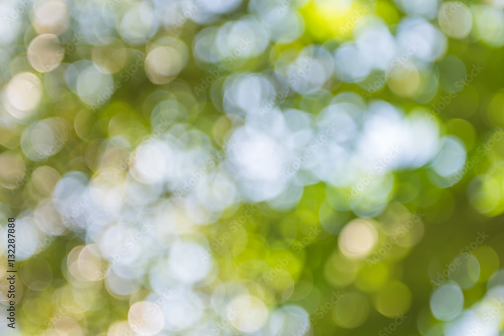 Defocused green abstract background Defocused green abstract background