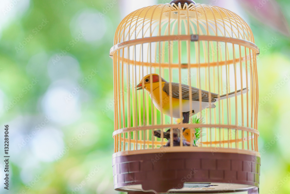 44,900+ Bird Cage Stock Photos, Pictures & Royalty-Free Images