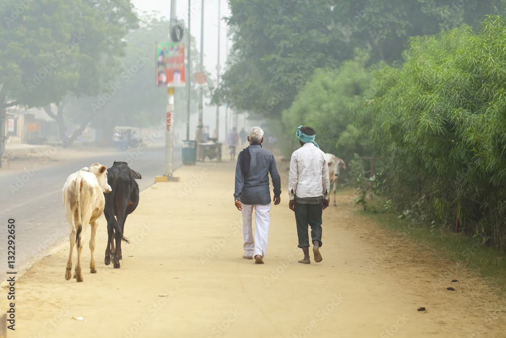Obraz premium walking down the street pilgrim Male India Govardhan