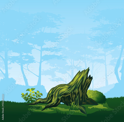 Stump with a curved crown