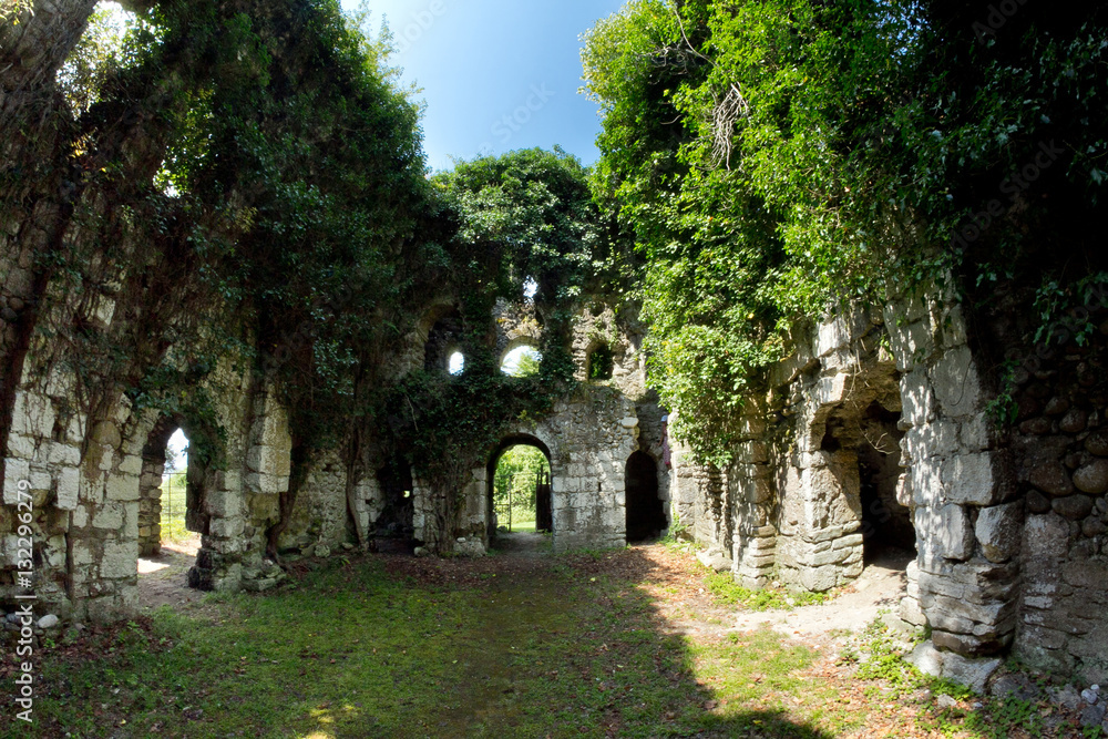 Overgrown ruins of ancient church VI-VII century, Abkhazia Overgrown ruins of ancient church VI-VII century, Abkhazia