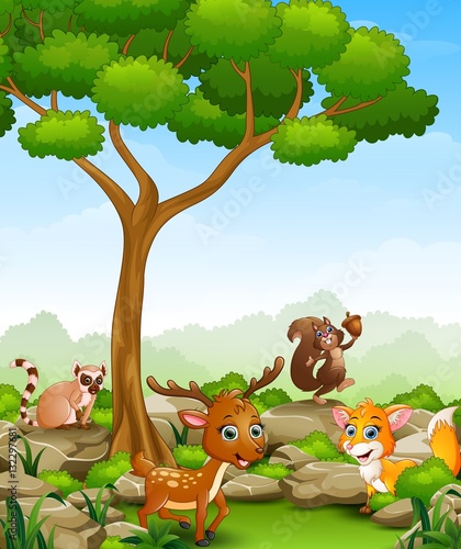 Wild animal cartoon in the jungle