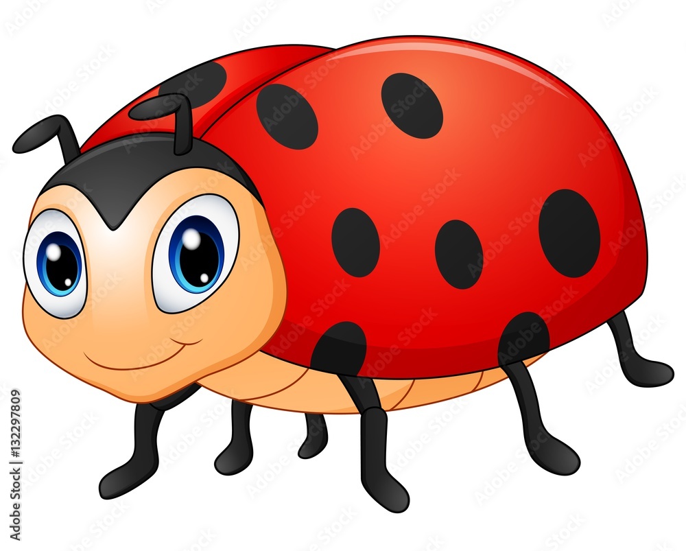 Obraz premium Cute ladybug cartoon