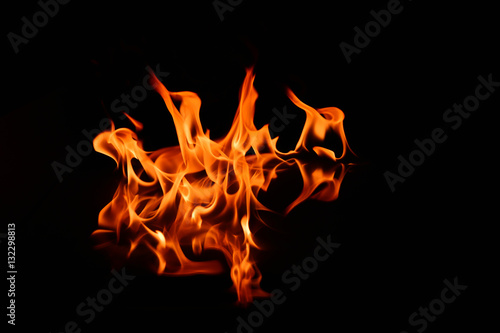 Wallpaper Mural Birbirine Tutuşmak Torontodigital.ca