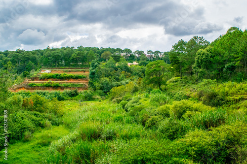 Obraz na płótnie Cascade fields plowed for sowing at tropic mountains in Vietnam w salonie